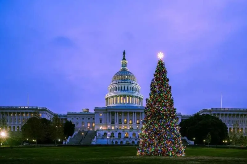 LOOK: The DC Christmas Tree Will Make These Stops in Idaho