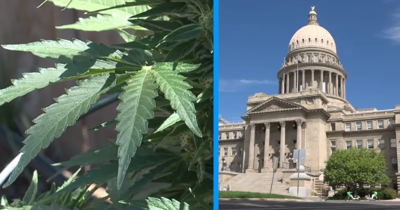 Marijuana on the ballot for the final time in Idaho? Voters to decide if lawmakers have sole power to legalize