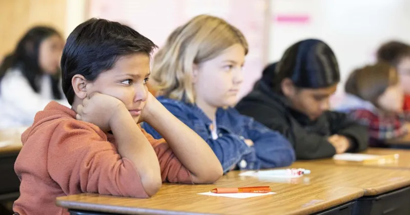 Idaho school districts will ask voters for more than $307 million in November