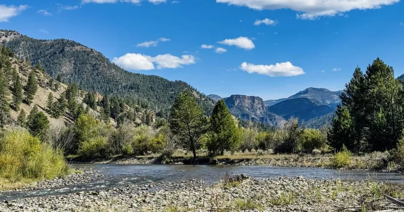 Life, Death, and Data: The story of a salmon run in the Middle Fork Salmon River basin