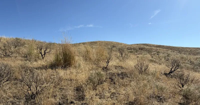UPDATE: Low-level aerial spraying flights to continue in late October to complete project in the Magic Valley Region