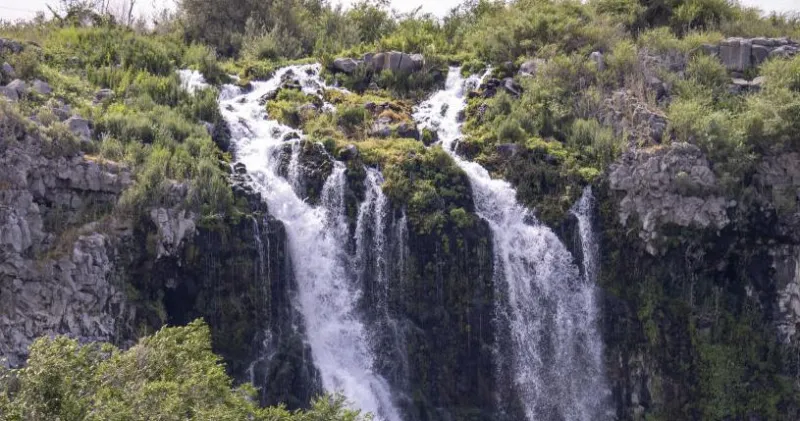 Road to Thousand Springs Park, Ritter Island to be temporarily closed