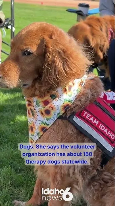 PAWS for mental wellness (Video)