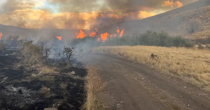 Human-caused Buckhorn 2 Fire burns 2,000 acres in Cassia County