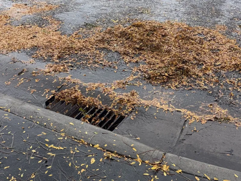 The City of Idaho Falls asks residents to check storm drains amidst continuing rain showers