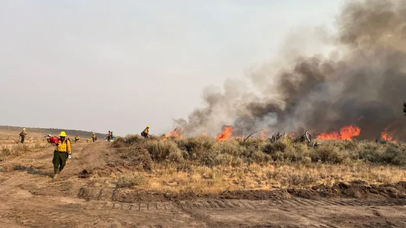 Habitat recovery expected to take years; unburned Owyhee areas remain open to hunters