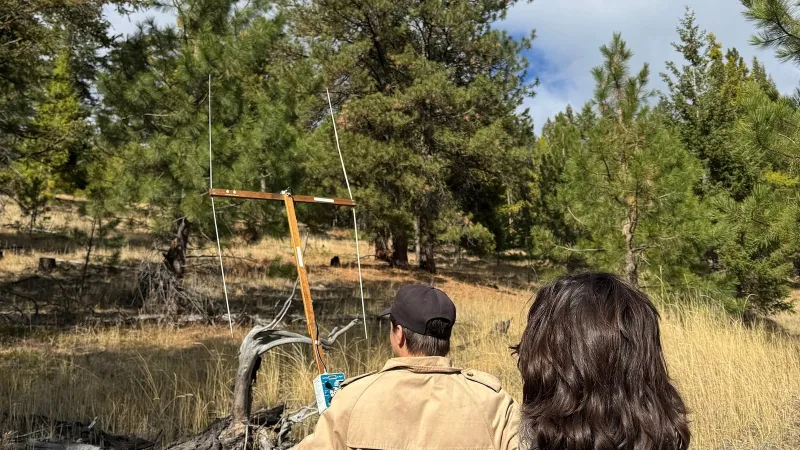2 found dead after Idaho-bound plane goes missing