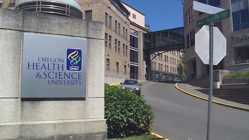 OHSU study links late-night eating to liver disease risk