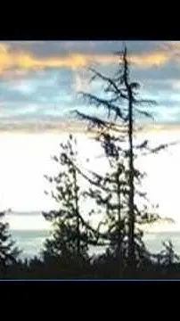 Good morning, Inland Northwest  (Video)