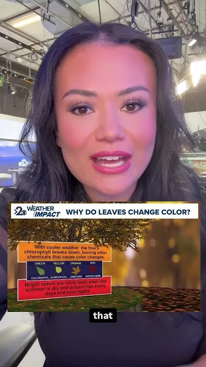 When to see the best fall foliage in Spokane (Video)