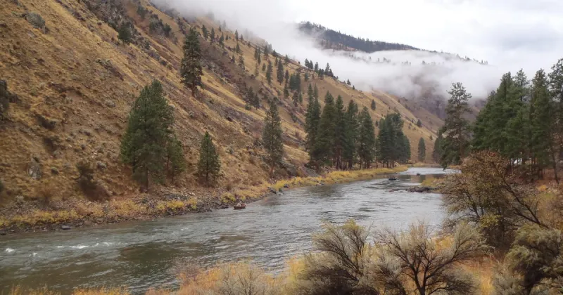 Upper Salmon River Steelhead Fishing Report (10-14-2026)