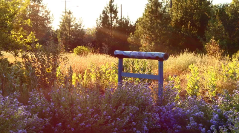 One year later: How has the renovated Pollinator Garden benefited conservation at UI
