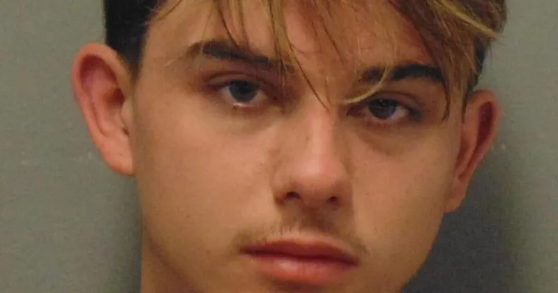Judge sends Twin Falls gun theft defendant to prison