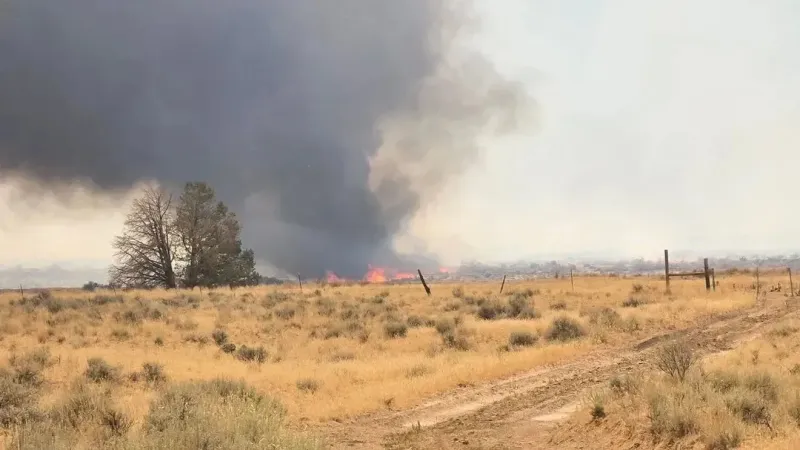 BLM lifts Big Grass Fire closure, reopening Owyhee County public lands