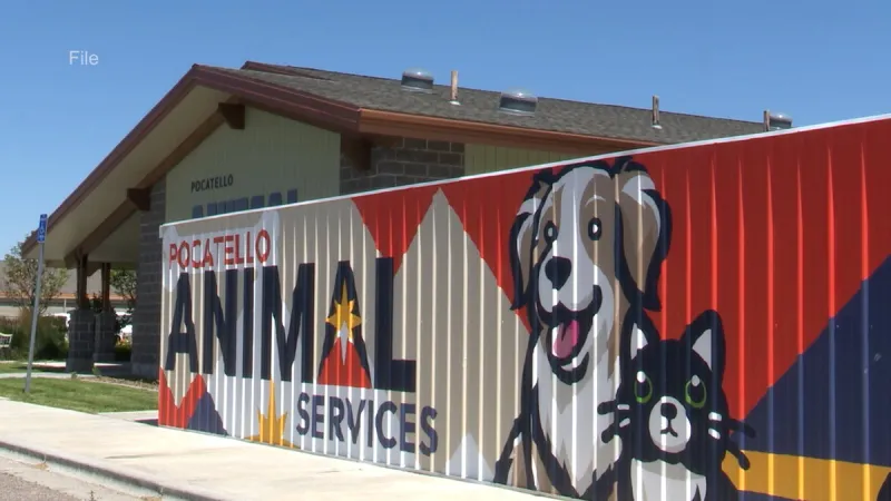 Pocatello Animal Services offering discounted pet vaccines at Phil Meador Subaru clinic event