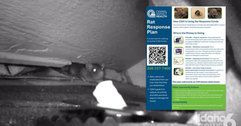 The rat plan: How $250K will be used to reduce the growing Treasure Valley rat population