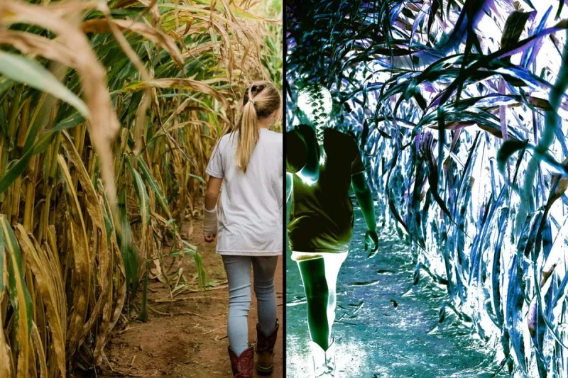 Spooky or Family-Friendly: 7 Best Halloween Events in Twin Falls