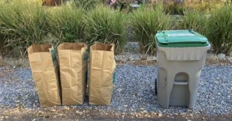 How, when, and where Boise residents can get rid of fall leaves