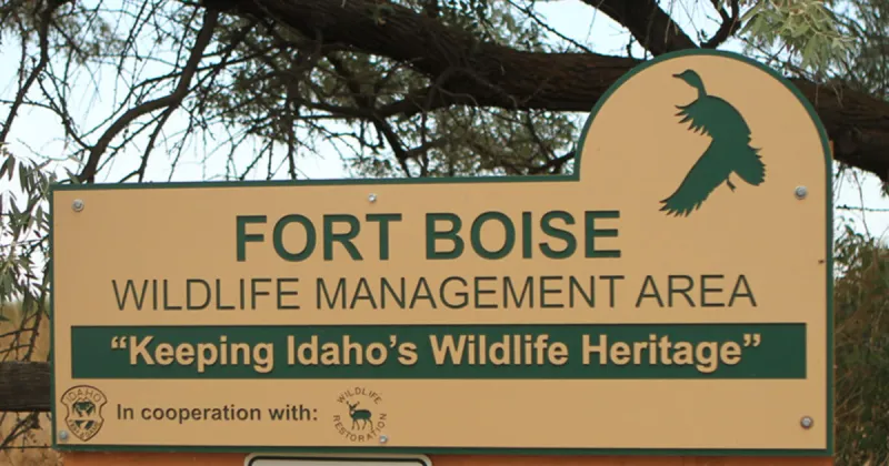 Portion of Fort Boise WMA to close on Oct. 20 for aerial herbicide application