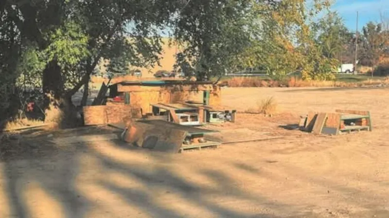 Middleton to remove unauthorized feral cat structures from city property