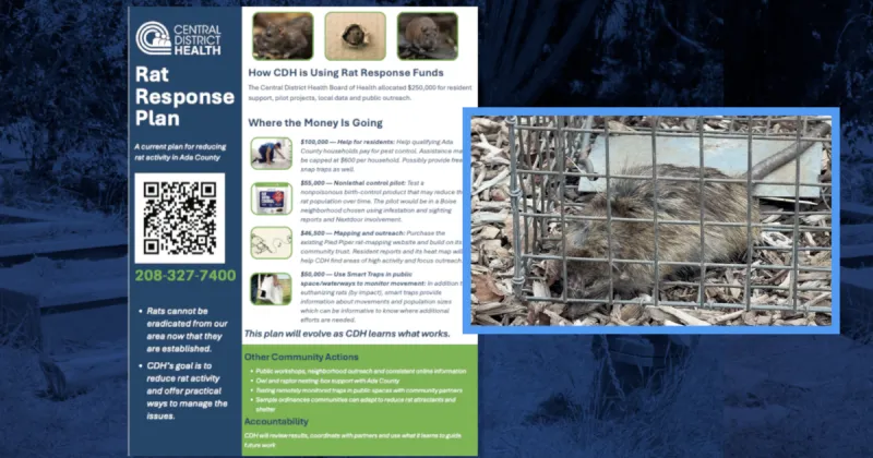 Northwest Boise neighbors push for action as Central District Health commits $250K to rat problem