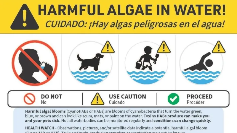 Harmful algae found at Freedom Park in Star