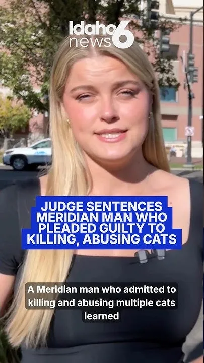 Judge sentences Meridian man who pleaded guilty to killing, abusing cats (Video)