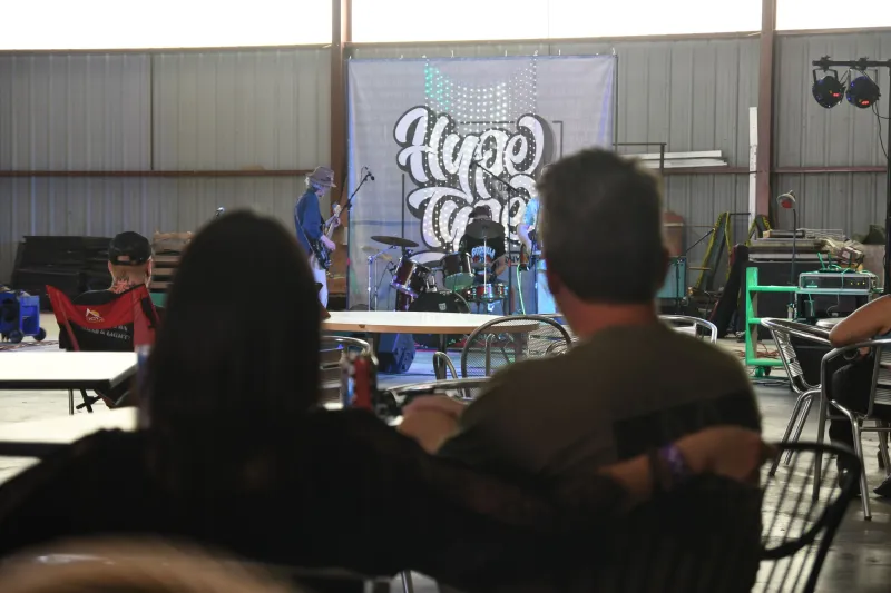 Trinity Festival brings music, community, animal advocacy to Alton's Milton School House