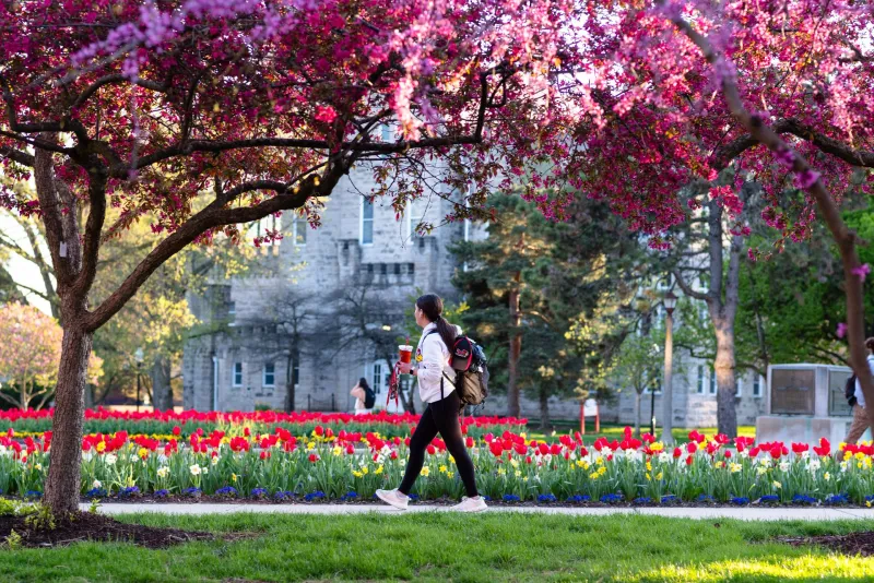 Illinois State continues tradition of transfer excellence with another Phi Theta Kappa honor