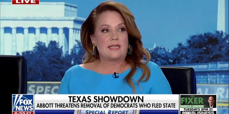 Democrats 'squeezed everything they can' out of this type of redistricting: Mollie Hemingway