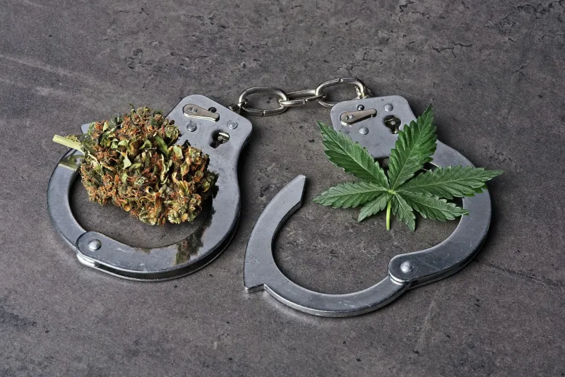 Godfrey man charged with armed violence, cannabis operation after domestic incident