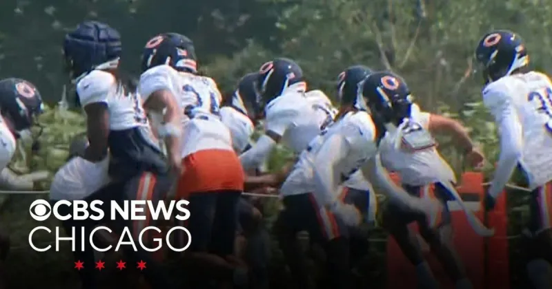 Practice gets physical at Bears training camp