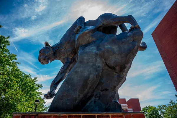 SIUE Announces Graduate School's 2025 Research Grants for Research Doctoral Students