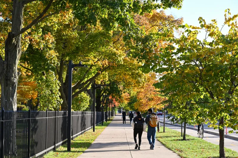 Year in Review: NU's top stories from 2024-25