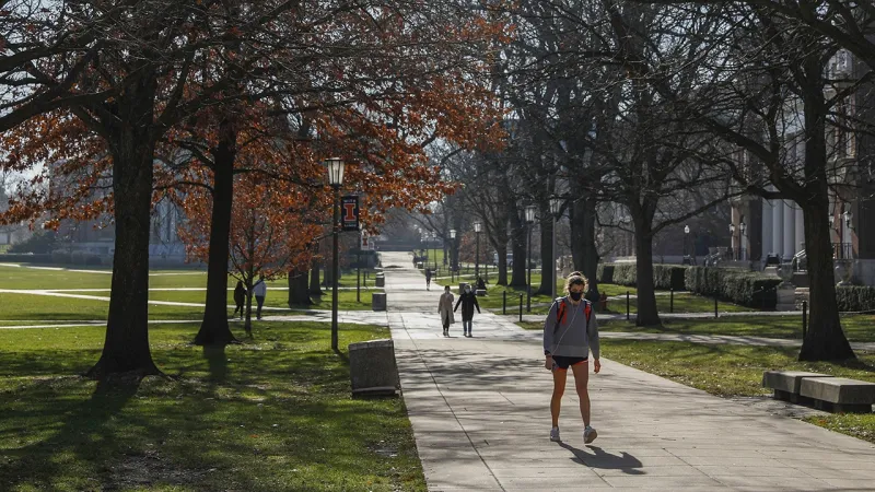 Leaked lessons from first-year University of Illinois education course show extreme left bias: 'Just so wrong'