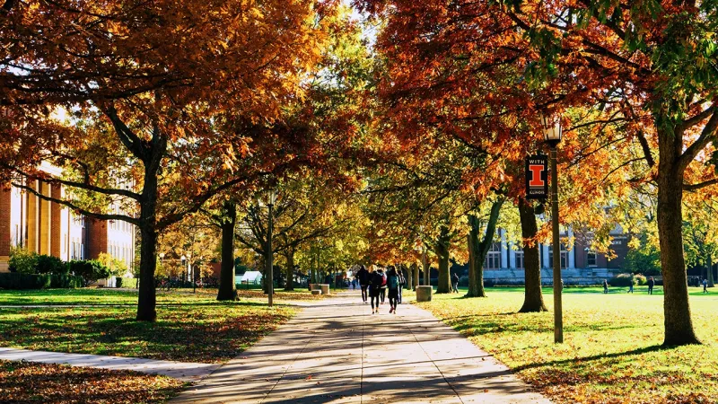 University of Illinois lesson materials push leftist race, class struggles on future teachers: leaked lectures