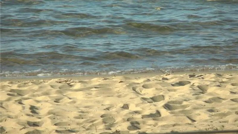 Michigan Rep. Walberg introduces bill to prevent invasive species spreading in Great Lakes