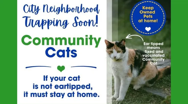 Columbus trapping community cats; Owners warned not to let pets roam