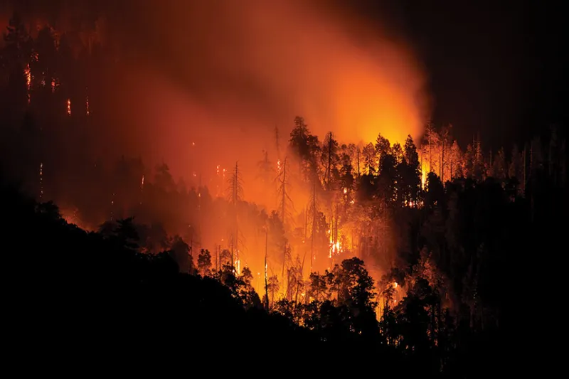 The Burning: Fighting an Impossible Megafire in Sequoia National Forest
