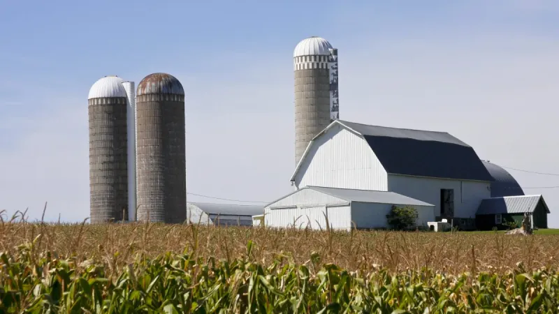 Indiana Farmers Take Hit from China Tariffs