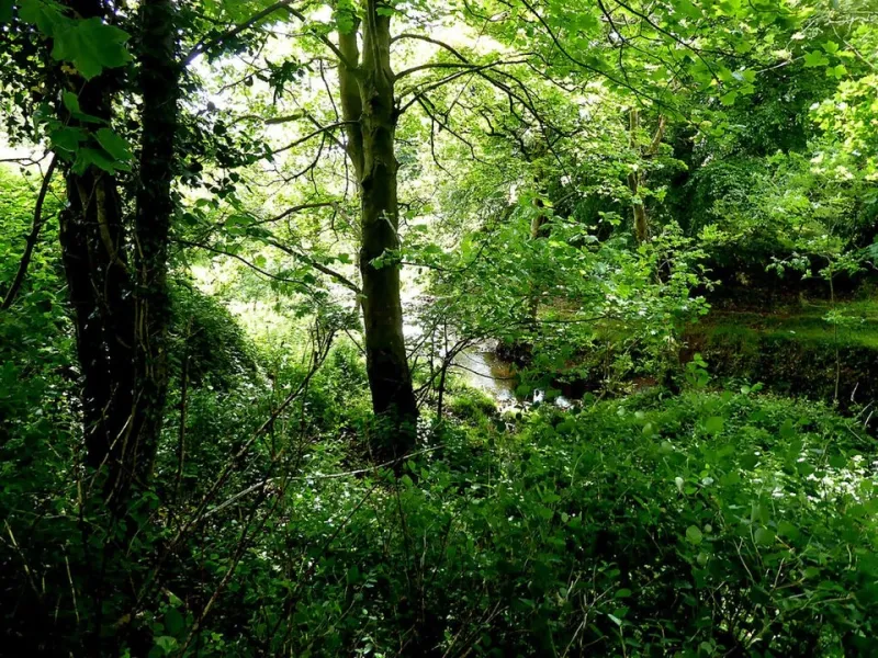 GROUP ACQUIRES WAYNE COUNTY LAND FOR NATURE PRESERVE
