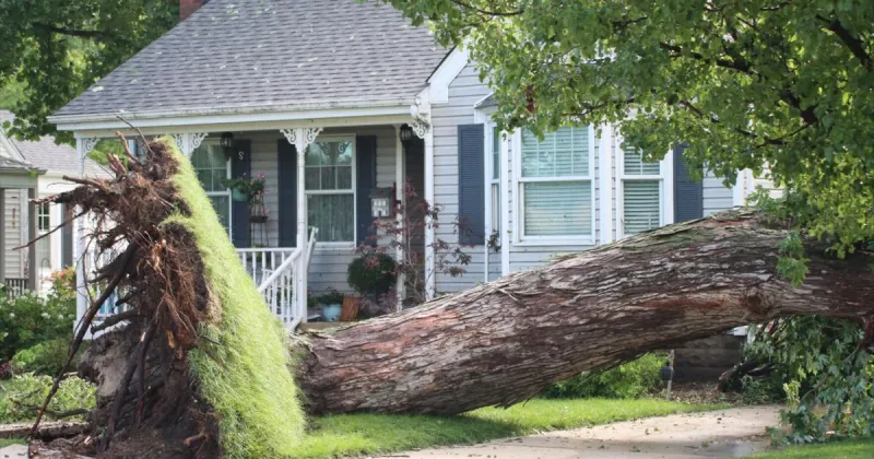 Violent storms leave Griffith battered by downed trees, flooding, outages