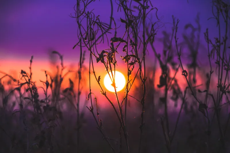 Sahran Dust Could Paint Indiana Skies This Week