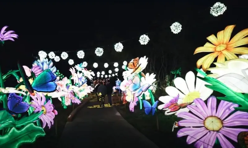 Wild Summer Lights Returns to Mesker Park Zoo