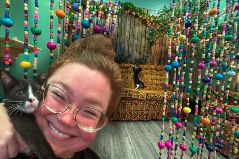 Sparky's Handsome Cat Cafe to Open in Owensboro Next Week