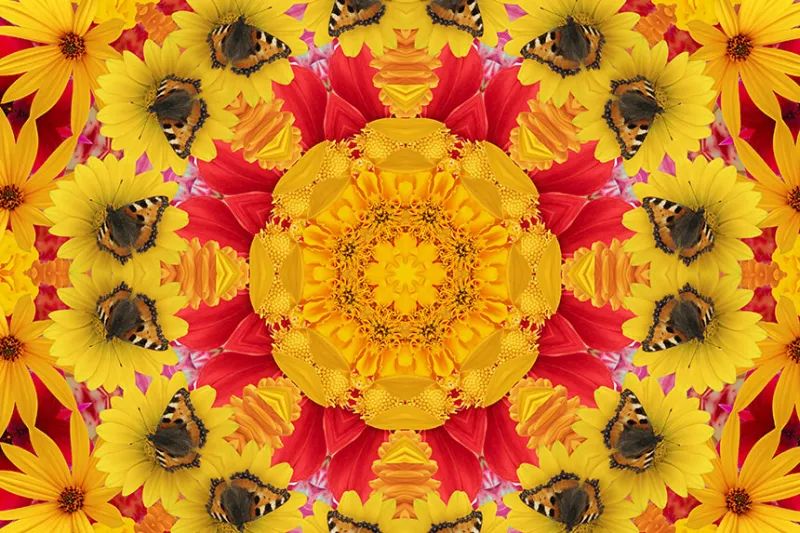In a Word: Peering into the Kaleidoscope