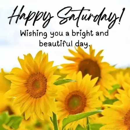 Here is your Saturday forecast
