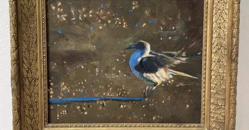 The Paintings of Becky Hall Fehsenfeld