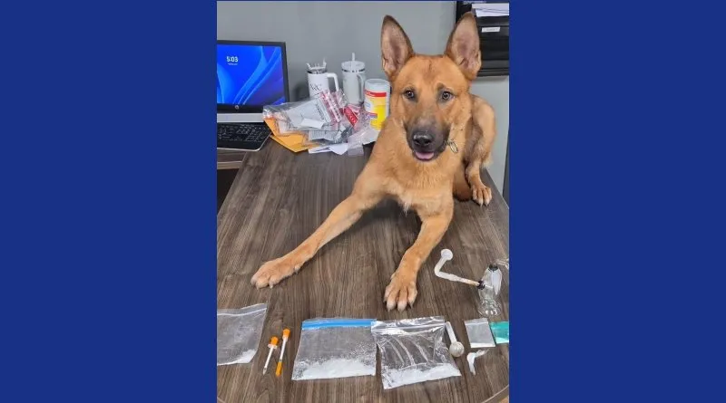Two facing drug charges after Jennings traffic stop