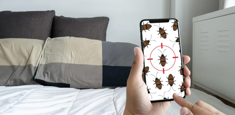 Three Indiana Cities Among 2026's Worst Cities for Bed Bugs